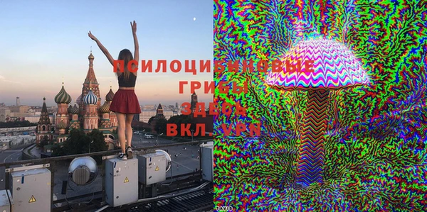 дмт Алексеевка