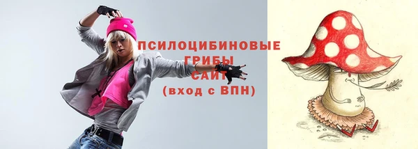 герыч Алексин