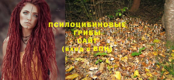дмт Алексеевка