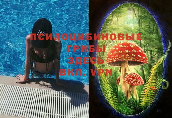 герыч Алексин