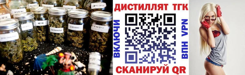 даркнет сайт  дарк нет Telegram  ТГК жижа  Тамбов 